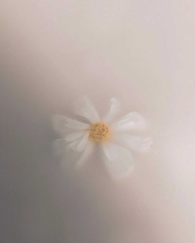 Audo Olfacte Scented Candle (235 g) , En Passant