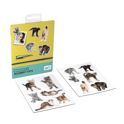 Mustard Intriguing Scaredy Cat Fridge Magnets