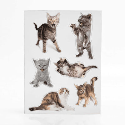 Mustard Intriguing Scaredy Cat Fridge Magnets