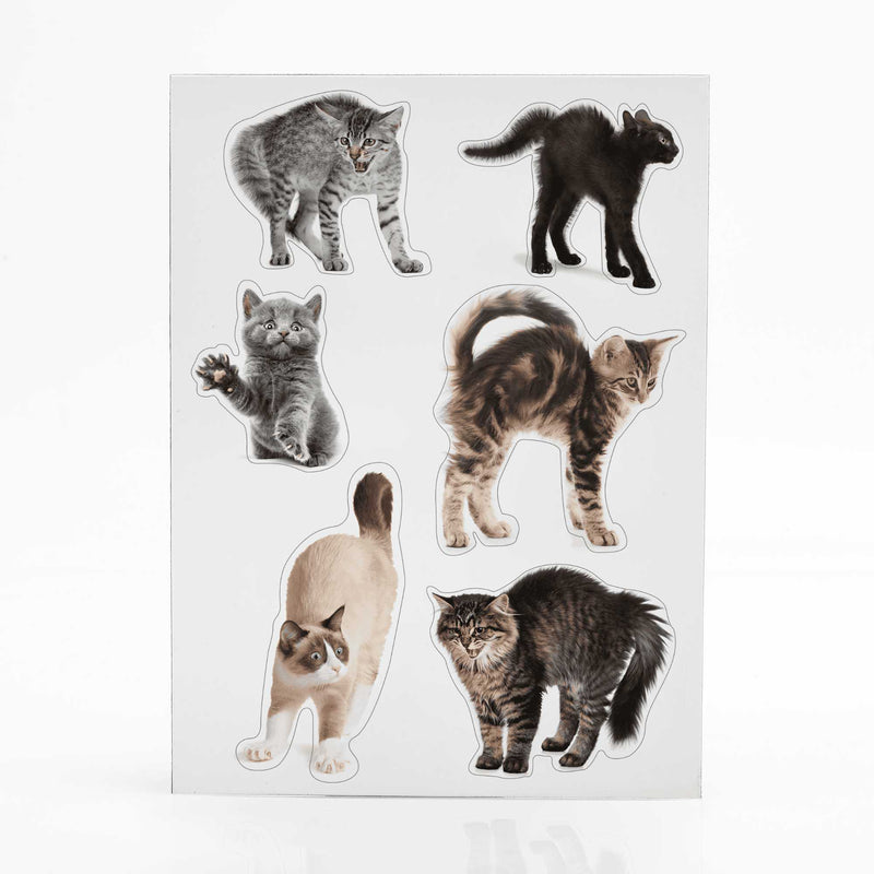 Mustard Intriguing Scaredy Cat Fridge Magnets