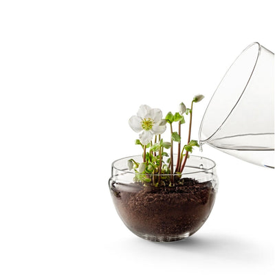 Design House Stockholm Grow greenhouse small