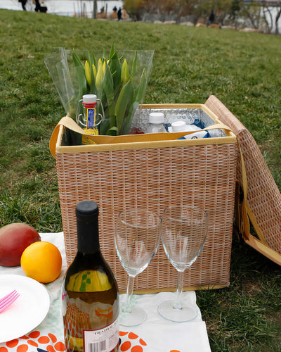 Kikkerland Wicker Picnic Cooler Seat