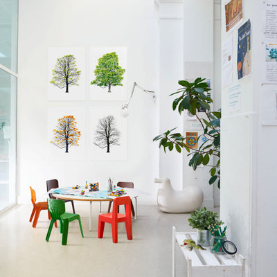 Magis Alma Children's Chair , Brown