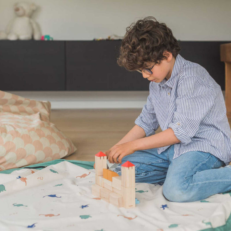 Play&Go PRINTED playmat and bag, dino (ø140cm)