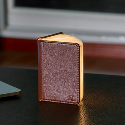 Gingko Smart Booklight Mini, leather brown