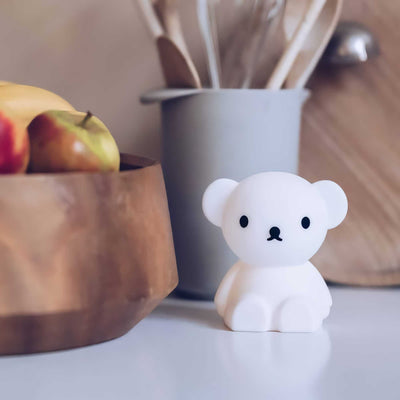 Mr Maria Bundle of Light , Boris