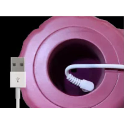 Toy Story Lotso Lamp 40cm