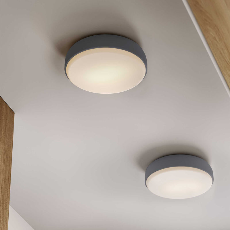 Northern Over Me ceiling/wall lamp, dark grey (Ø50cm)