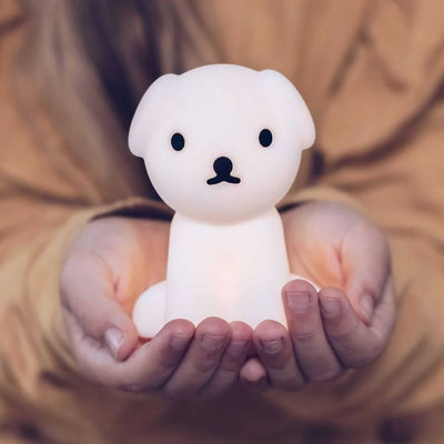 Mr Maria Bundle of Light, snuffy