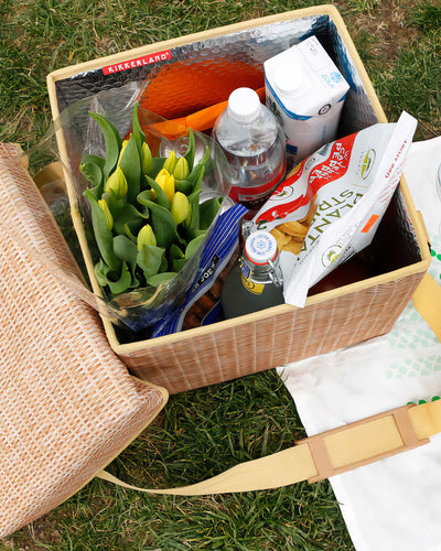 Kikkerland Wicker Picnic Cooler Seat