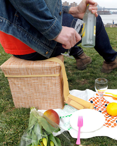 Kikkerland Wicker Picnic Cooler Seat