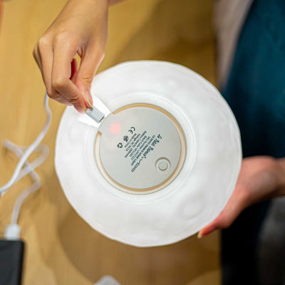 Le Petit Prince My Rose Forever Rechargeable Lamp