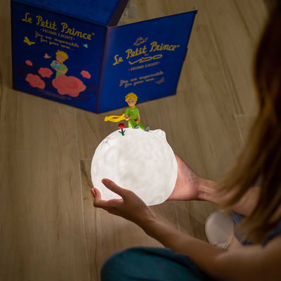 Le Petit Prince My Rose Forever Rechargeable Lamp