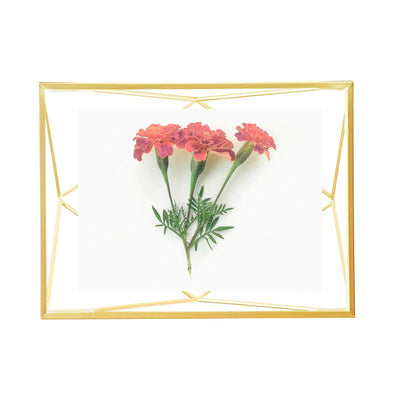 Umbra Prisma Picture Frame, mat brass (4x6")
