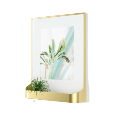 Umbra Matinee Photo Display 8X10 , Matt Brass