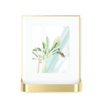 Umbra Matinee Photo Display 8X10 , Matt Brass