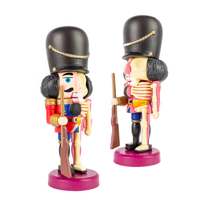 Fame Master Nutcracker Guard Anatomy Figure Glow 10cm