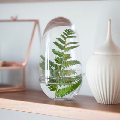 Design House Stockholm Grow greenhouse small