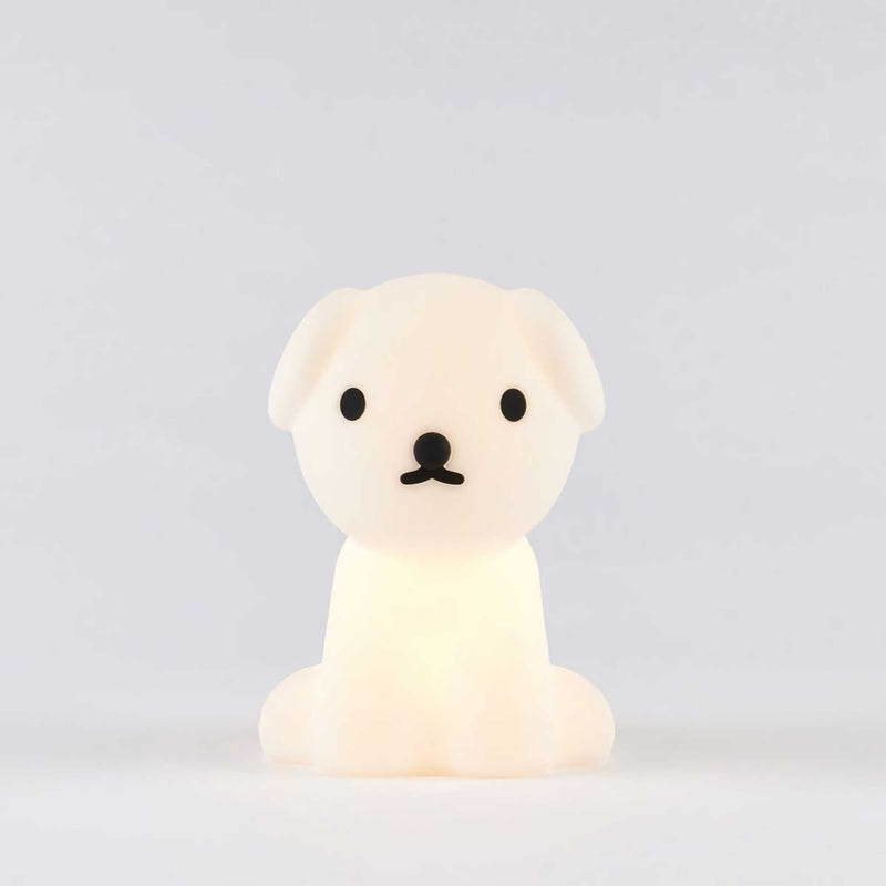 Mr Maria Bundle of Light, snuffy