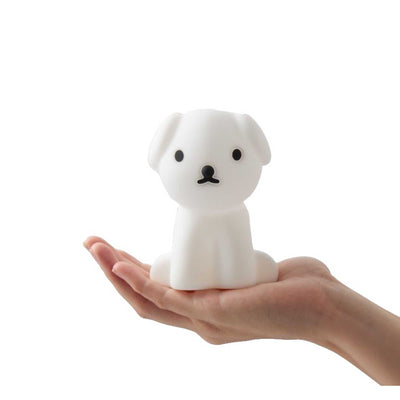 Mr Maria Bundle of Light, snuffy