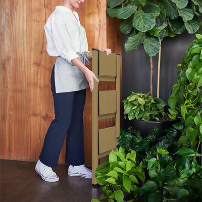 Hasegawa Slim Mini 3-step, champaign gold