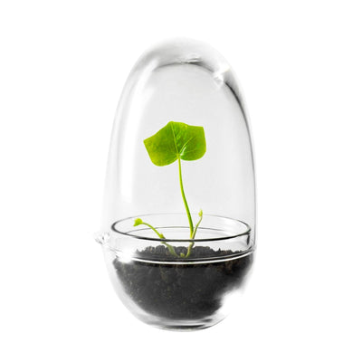 Design House Stockholm Grow greenhouse 14cm