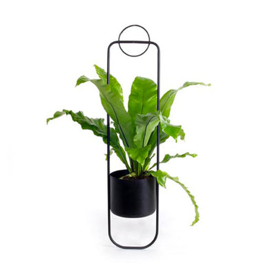 XLBoom Sonar Planter , Black