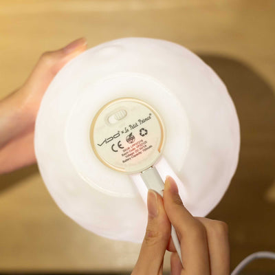 Le Petit Prince Tame & Love Rechargeable Lamp