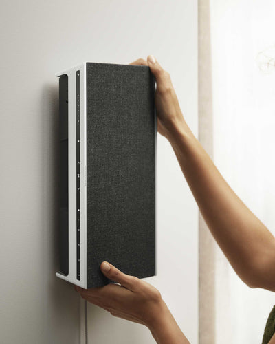 Bang & Olufsen Beosound Level Portable Speaker, aluminum