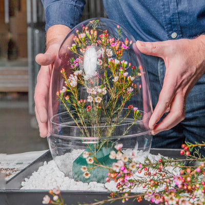 Design House Stockholm Grow greenhouse 32cm