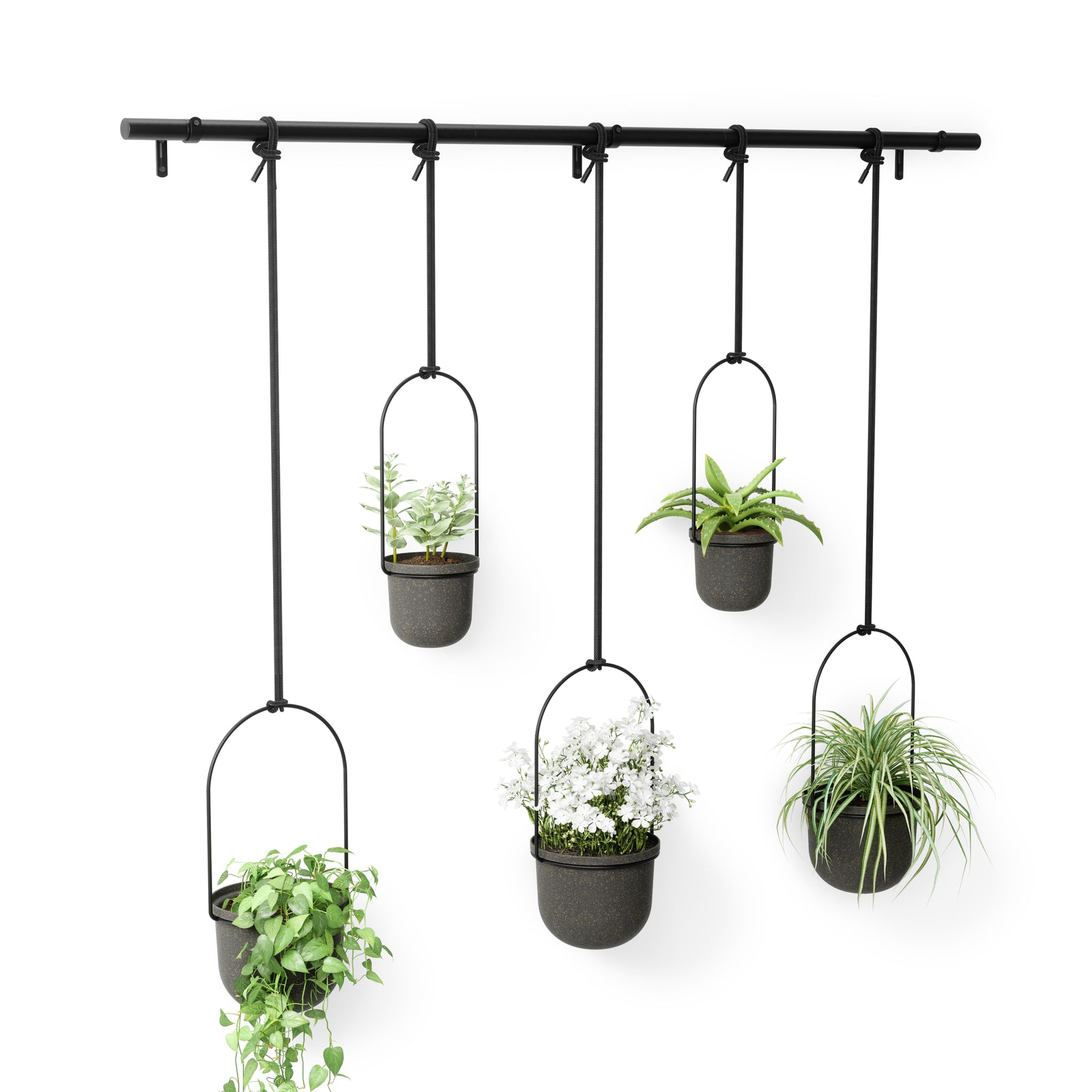 Umbra Triflora Hanging Planter (Set of 5), black