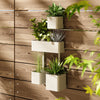 Umbra Cubiko Wall Planter, Sand