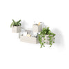 Umbra Cubiko Wall Planter, Sand