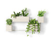 Umbra Cubiko Wall Planter, Sand