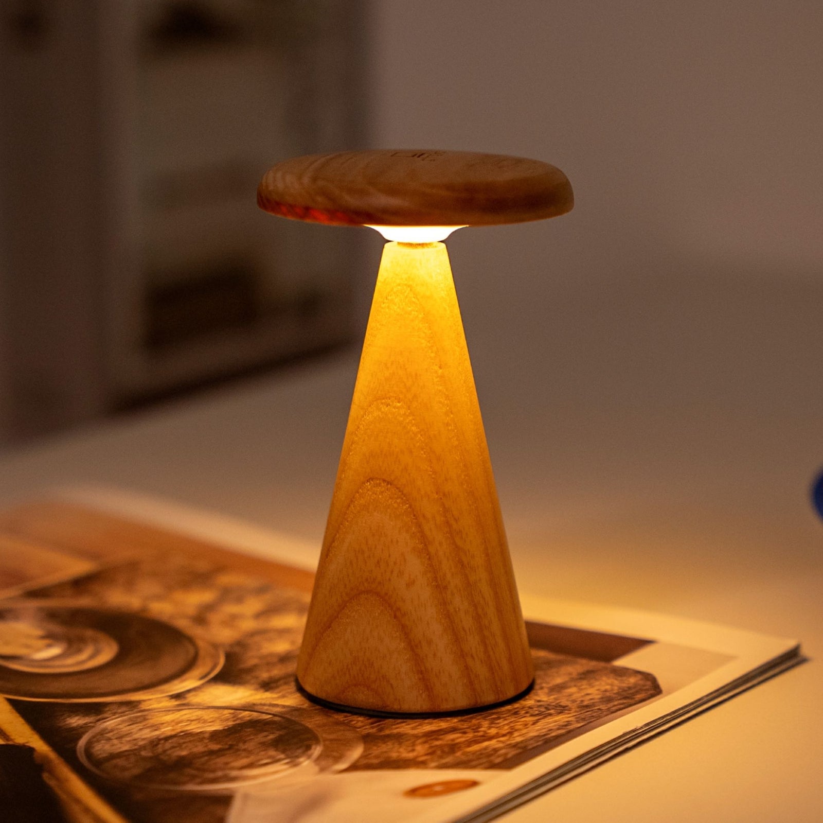 Gingko Sylva Mini table lamp, white ash