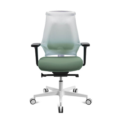 Sitness X Back Pro, green/white