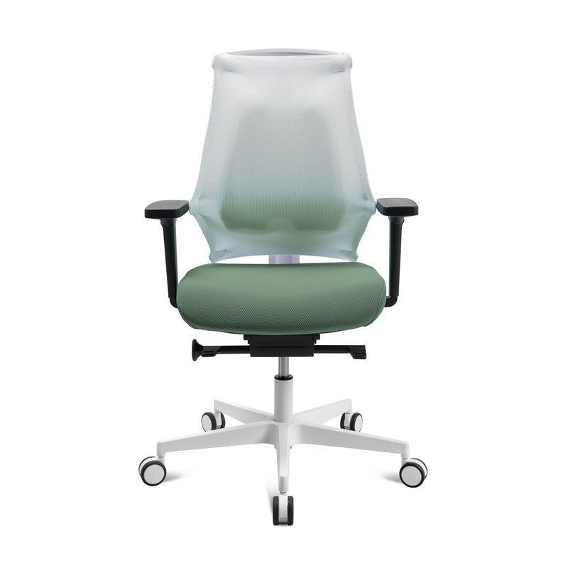 Sitness X Back Pro, green/white