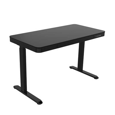 refurbished | FlexiSpot Liftek electric height adjustable desk 120x60 + Hag Capisco 8106 Leather, cognac/black