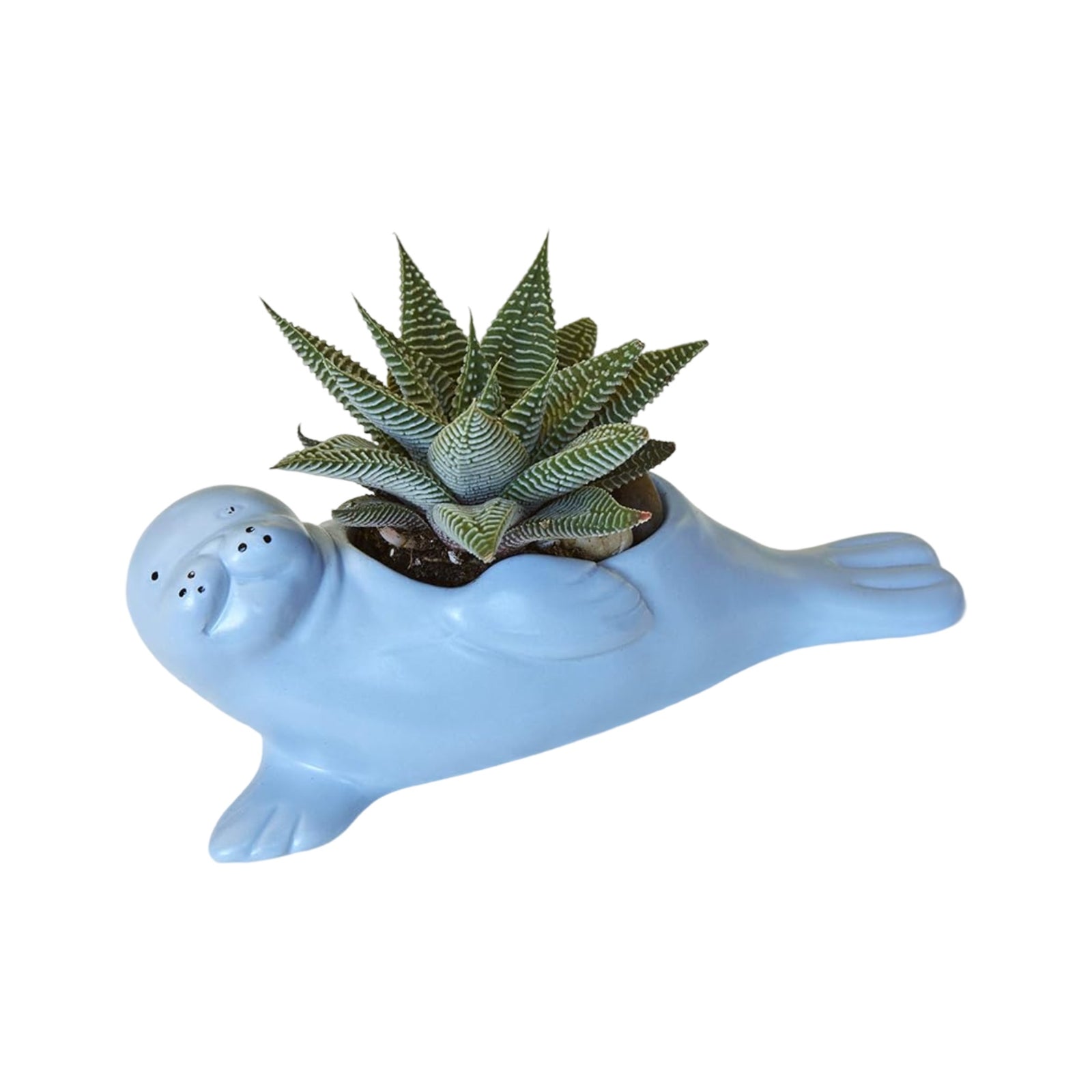 Kikkerland Suki The Seal pup planter