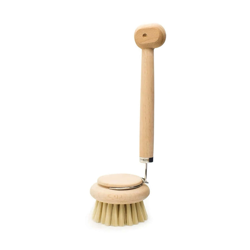 Kikkerland Dino dish scrubber
