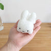 Miffy mascot rabbit