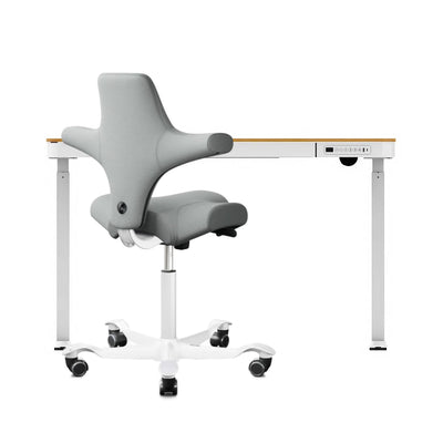 refurbished | FlexiSpot Liftek electric height adjustable desk 120x60 + Hag Capisco 8106 Fabric, light grey/white