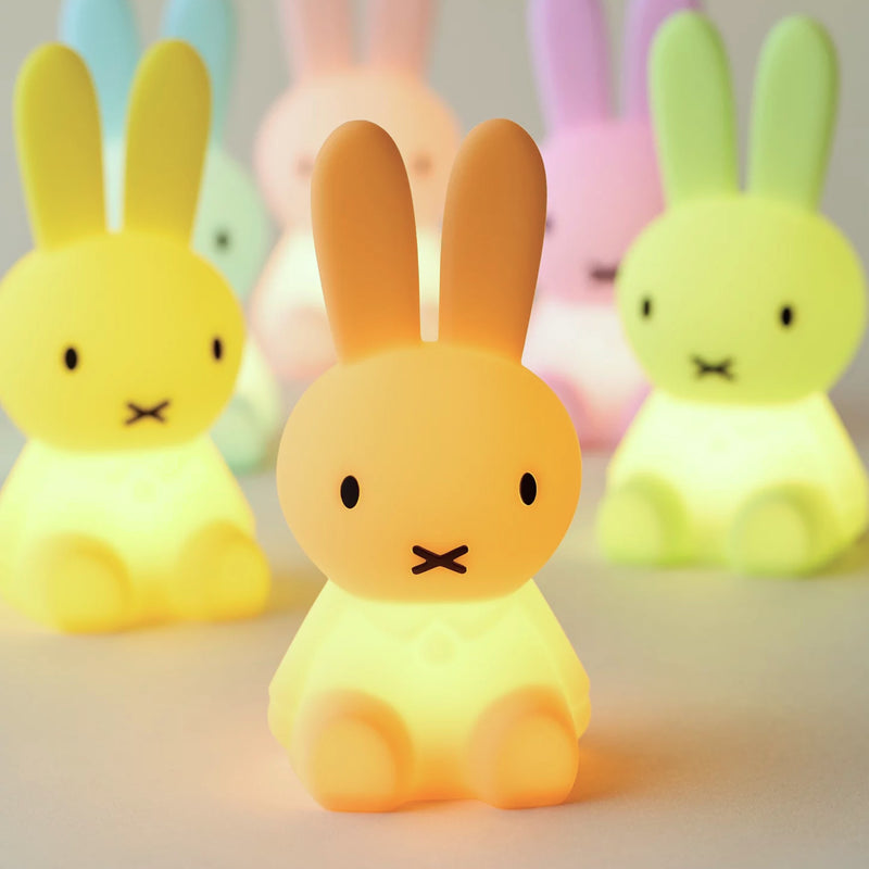 Mr Maria Miffy Bundle of Light blind box figure light