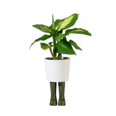 Bitten design Wellington planter small green