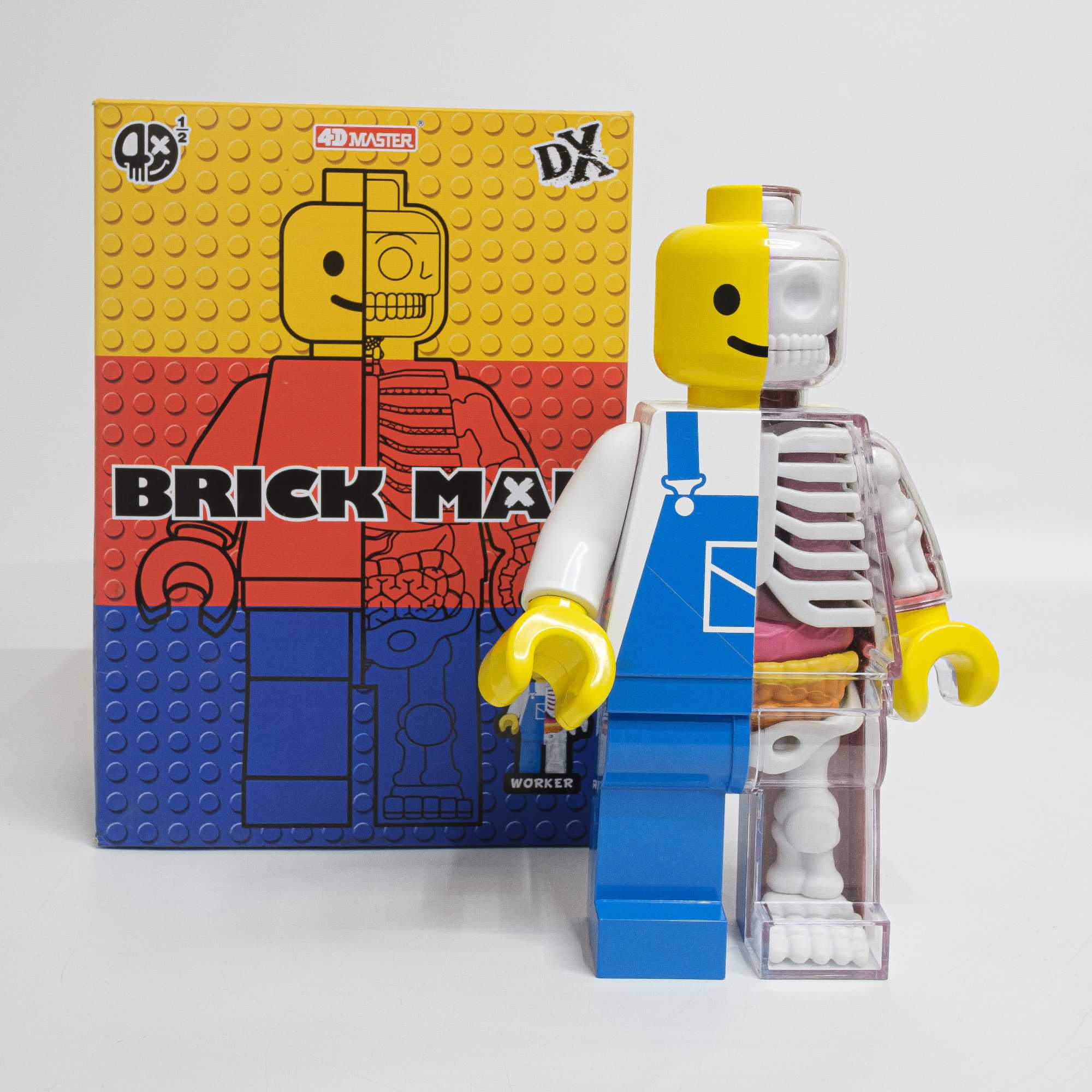 ex-display | Fame Master Brick Man anatomy figure, worker