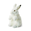 WWF Artic Hare plush