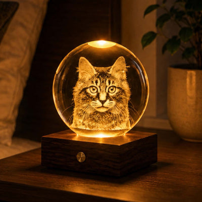 Gingko Companion amber crystal light, longhair tabby cat