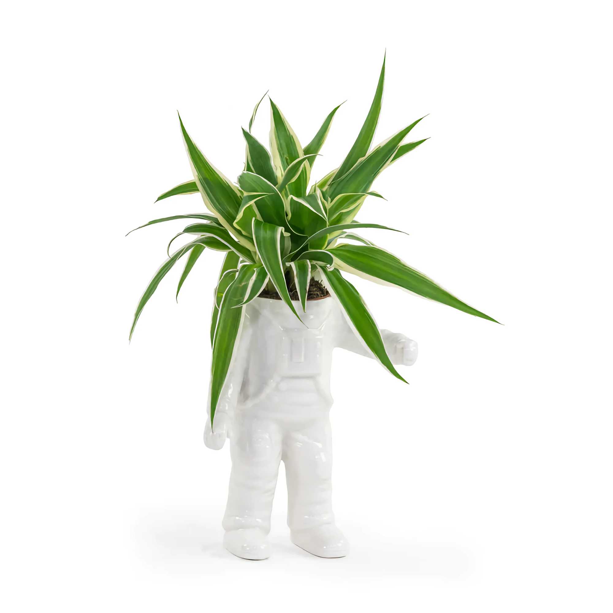 Bitten design Astronaut planter small