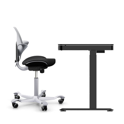 HAG Capisco Puls 8020 + FlexiSpot Liftek desk combo