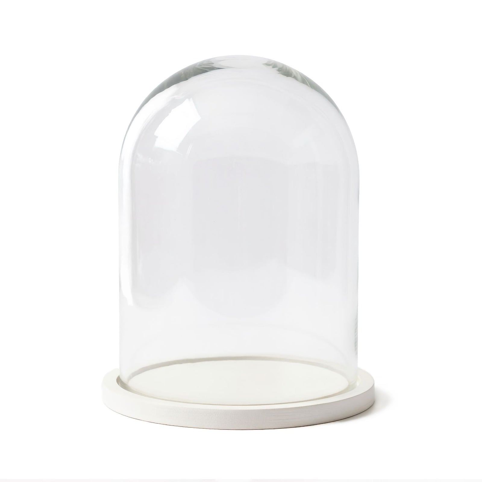 Dome display bell jar
